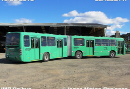 Neobus